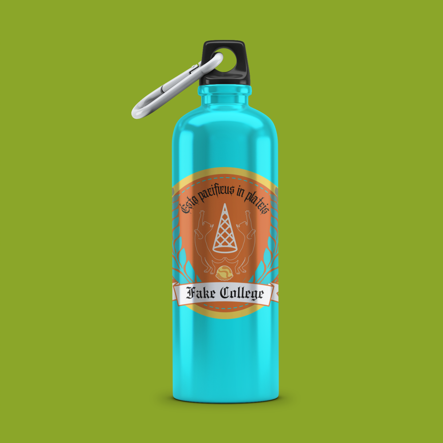 Aluminum Water Bottle