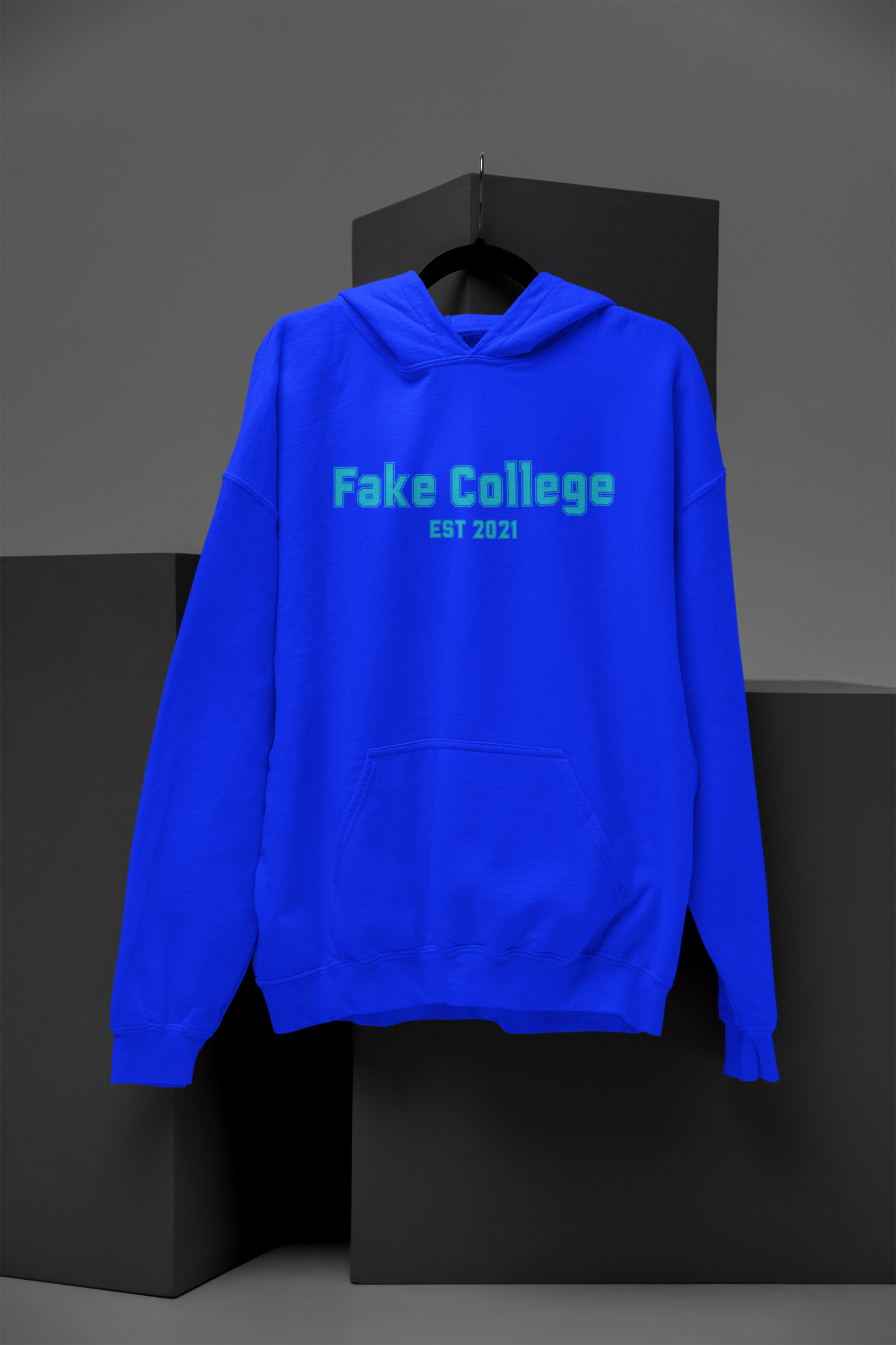 Fake College Hoodie