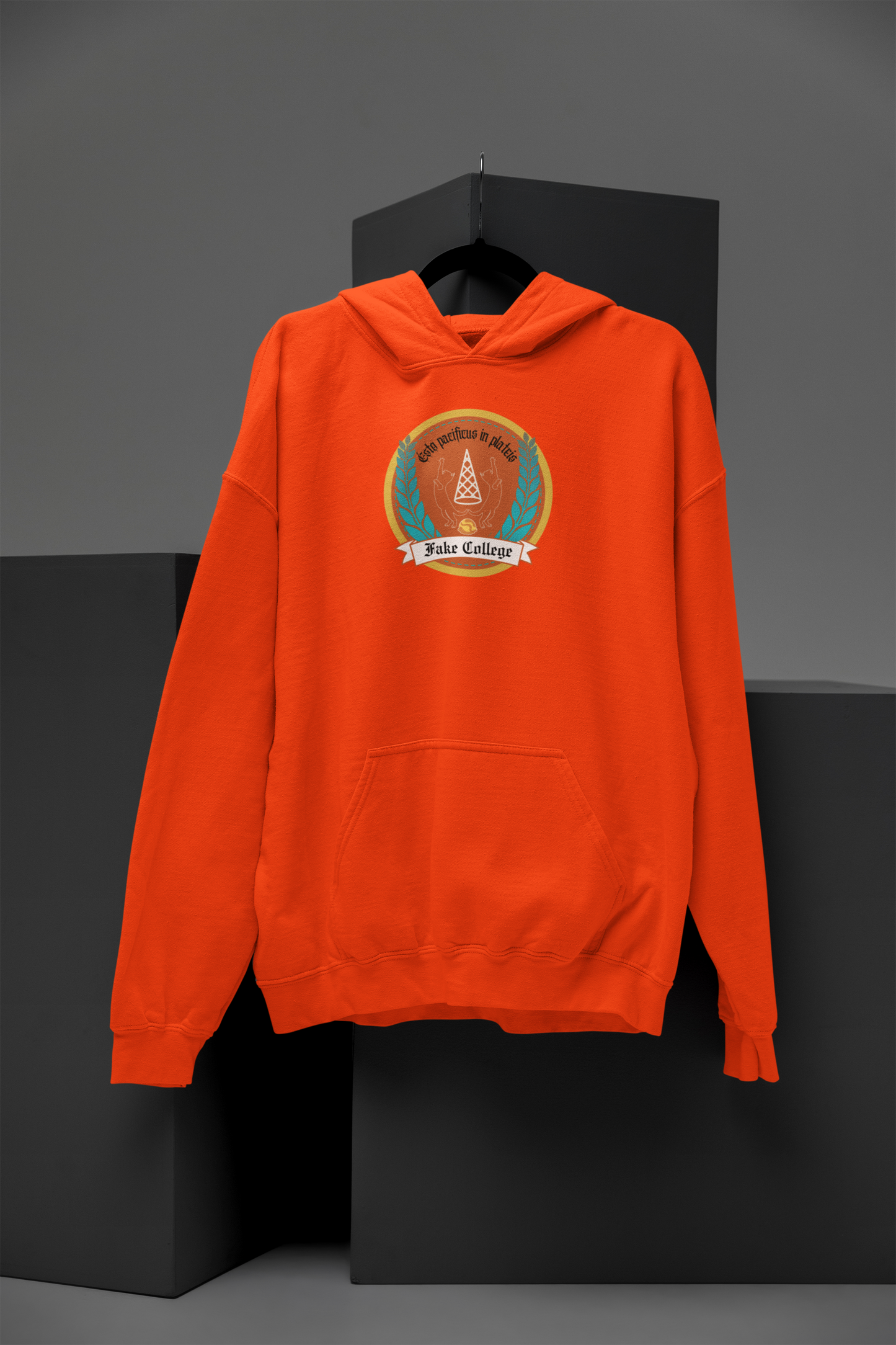 Fake College Crest Hoodie
