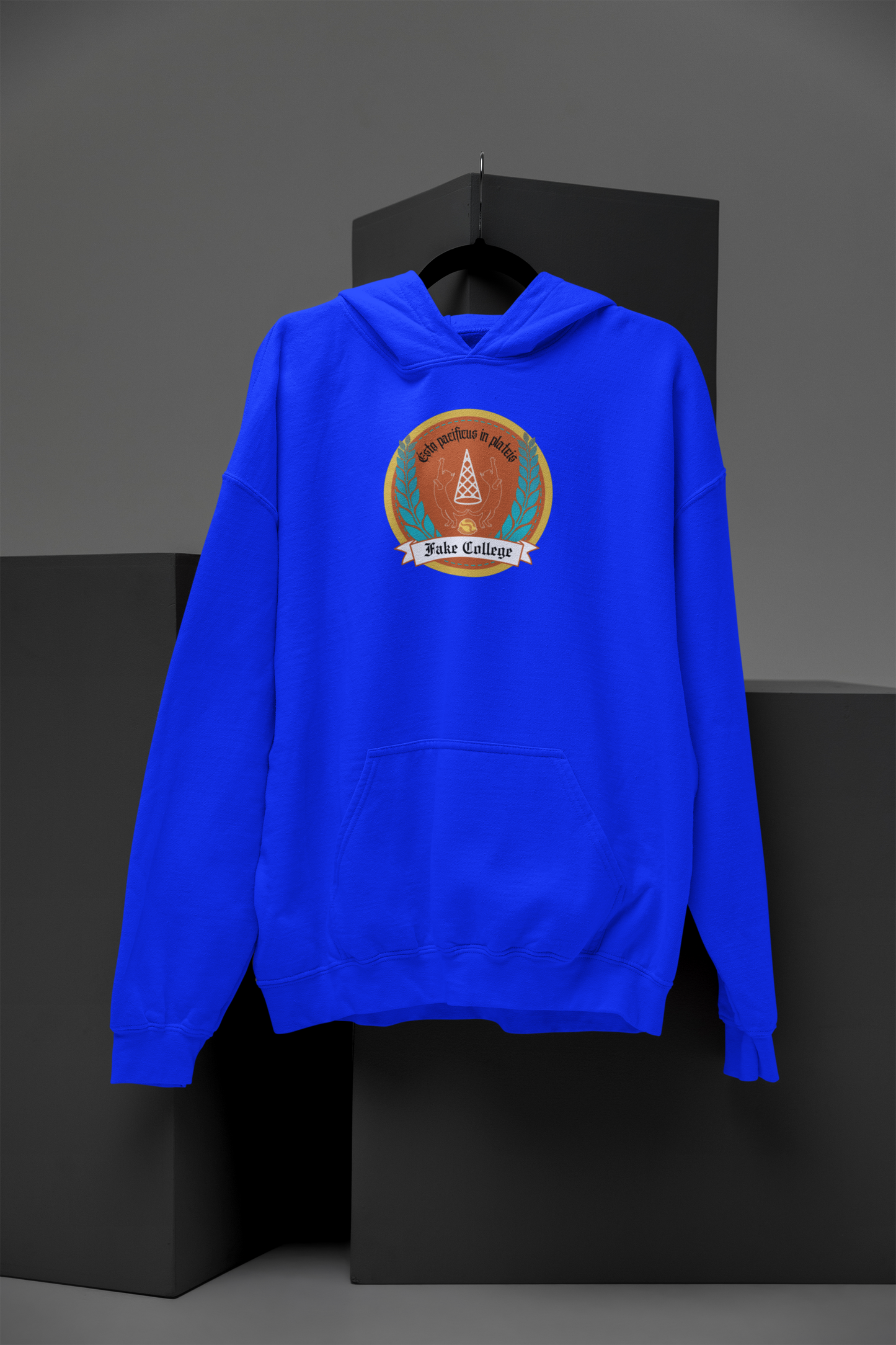 Fake College Crest Hoodie