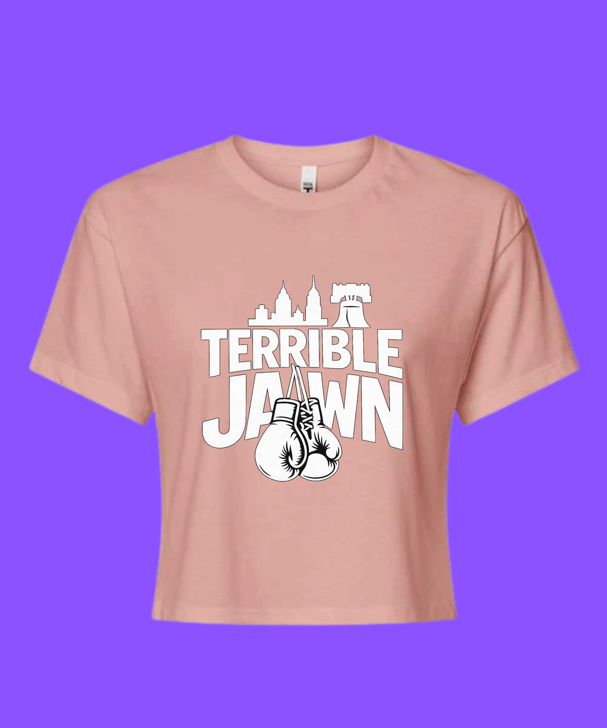 Terrible Jawn Boxy Crop