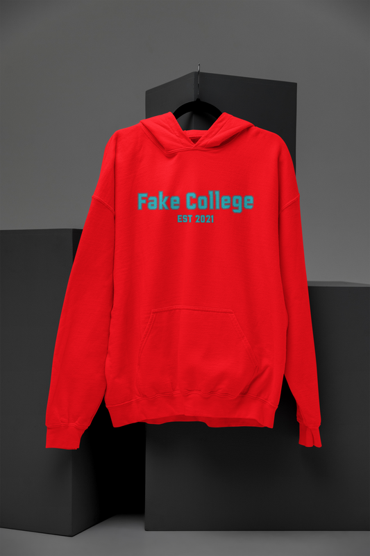 Fake College Hoodie