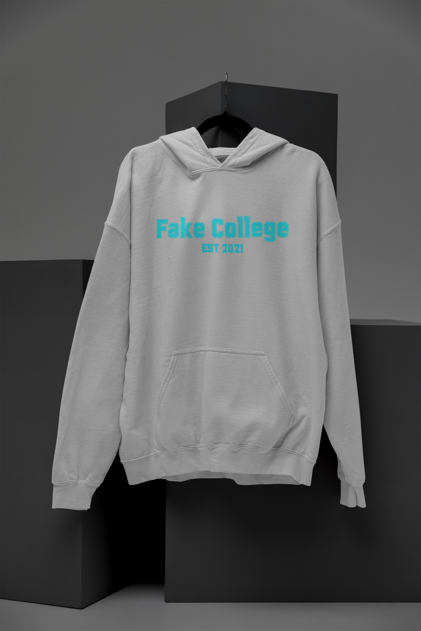 Fake College Hoodie