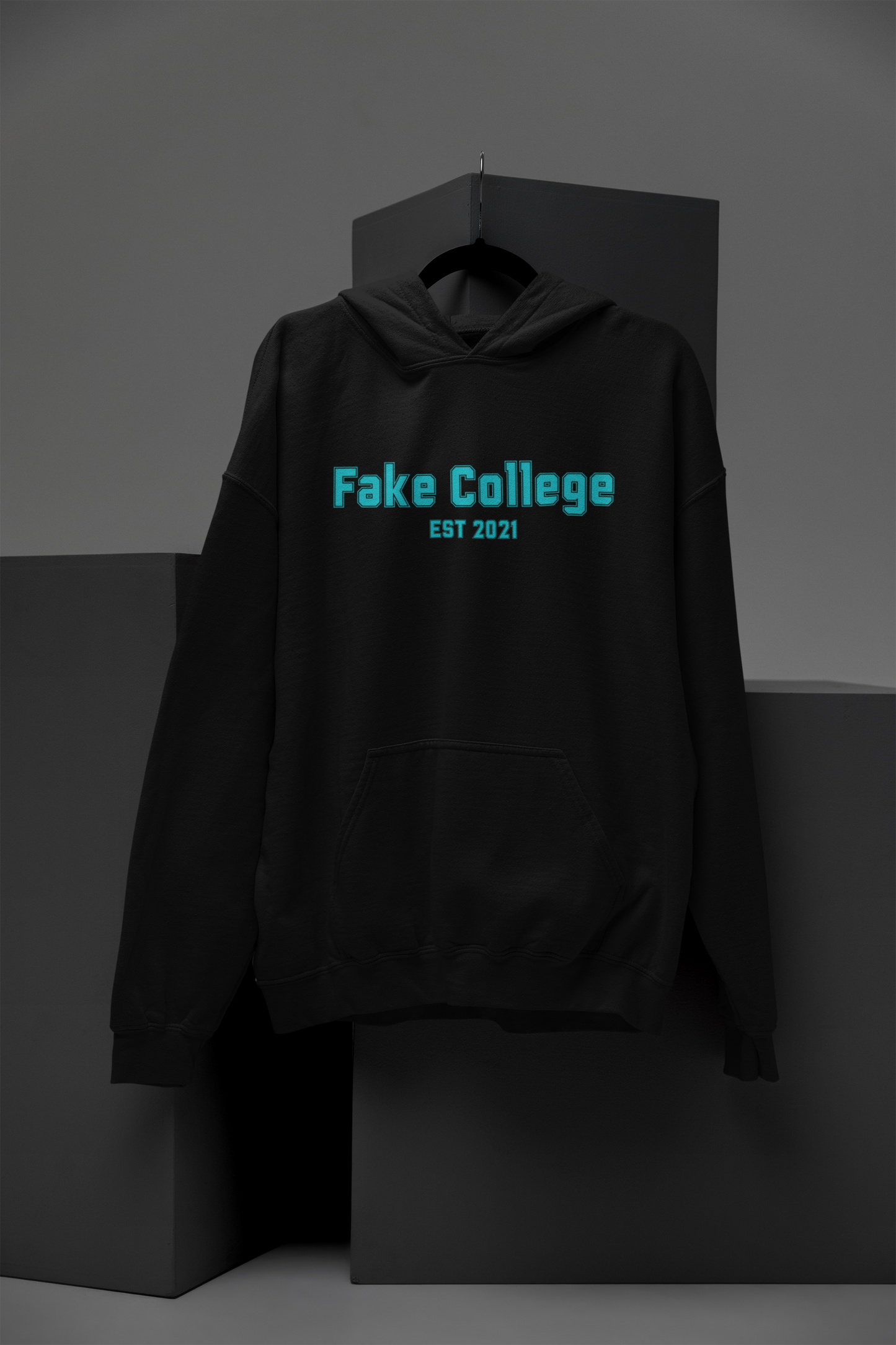Fake College Hoodie