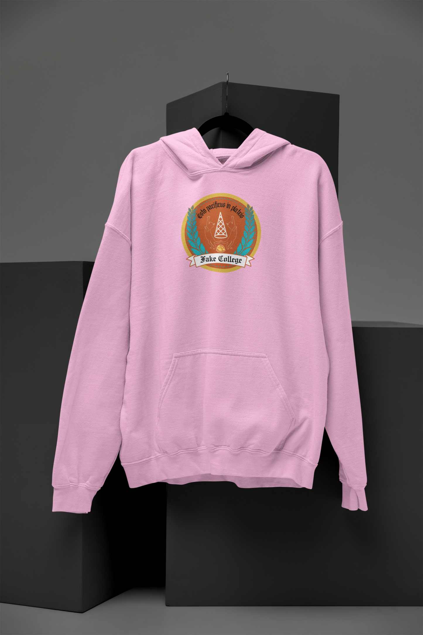 Fake College Crest Hoodie
